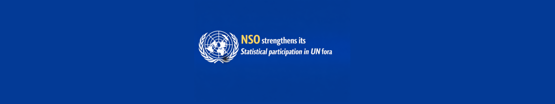 The NSO and its role in the United Nations